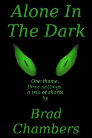 Cover of the book Alone In The Dark by Brad Chambers
