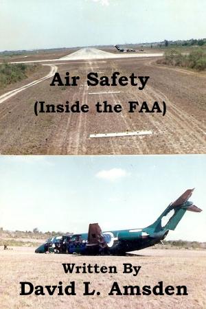 Book cover of Air Safety (Inside the FAA)