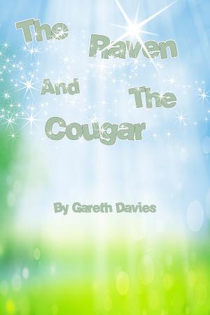 Cover of the book The Raven And The Cougar by Stacy Lee