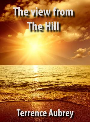 Book cover of The View from the Hill