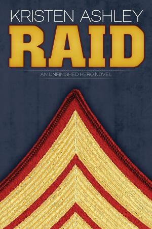 Cover of the book Raid by S. M. Cross