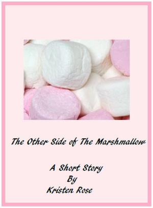 Cover of the book The Other Side of the Marshmallow by Jillian Quinn