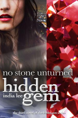 Cover of the book Hidden Gem #3 No Stone Unturned by Liliana Hart