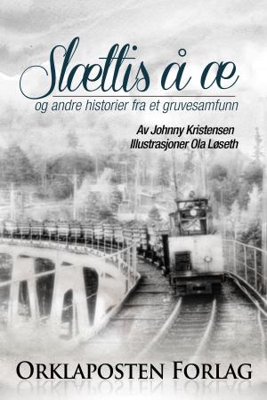 Book cover of Slettis å æ .....