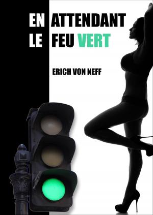 Book cover of En attendant le Feu Vert
