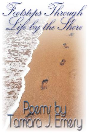 Cover of the book Footsteps Through Life by The Shore by Albert Kaufman, Stephen Kaufman PhD, MD, MBA, NWA