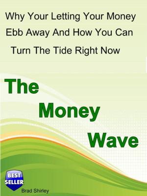 Cover of The Money Wave