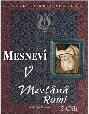 Cover of Mesnevi-V