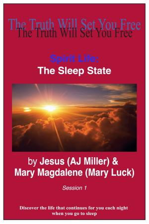Cover of the book Spirit Life: The Sleep State Session 1 by Jesus (AJ Miller)