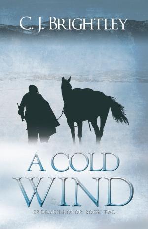 Book cover of A Cold Wind