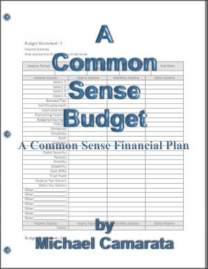 Cover of A Common Sense Budget