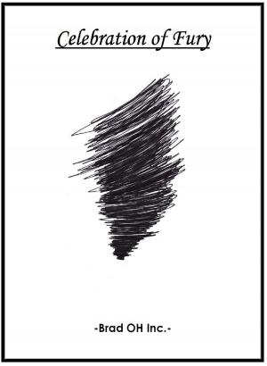 Cover of the book 'Celebration of Fury' by Azade Harvey, Ghislain Harvey
