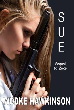Cover of the book Sue by DC Brownlow