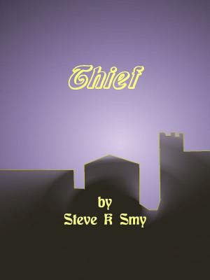 Cover of the book Thief by Steve K Smy