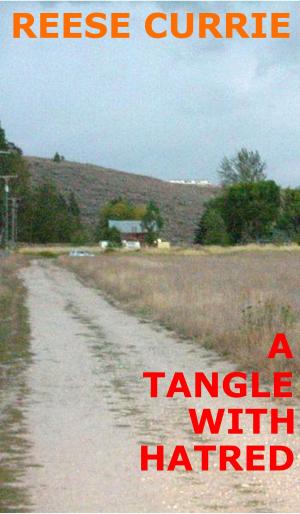 Cover of the book A Tangle With Hatred by Barbara Ann Derksen