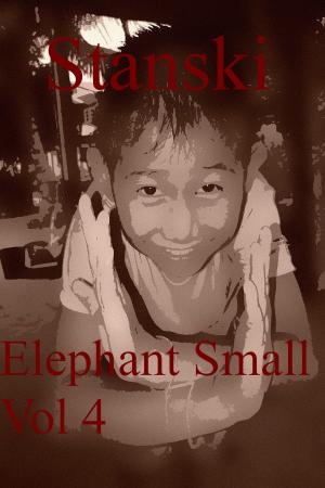 Cover of Elephant Small Vol 4