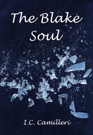 Cover of the book The Blake Soul: A Supernatural Thriller and Romance by Chris Sarantopoulos