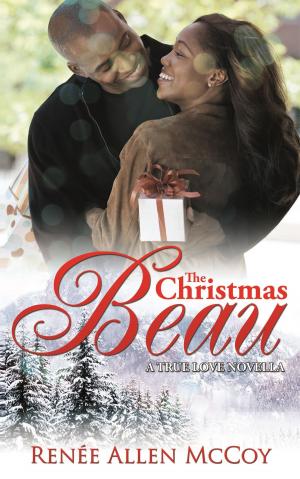 Cover of the book The Christmas Beau by Syed Muhammad Rizvi