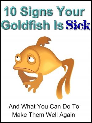 Cover of 10 Signs Your Goldfish Is Sick