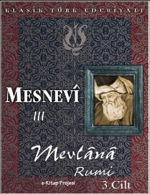 Cover of Mesnevi-III