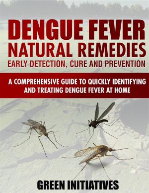 Cover of the book Dengue Fever Natural Remedies: Comprehensive Guide to Identifying and Treating Dengue Fever at Home by Brooke Potter