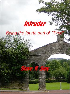 Cover of the book Intruder by Steve K Smy