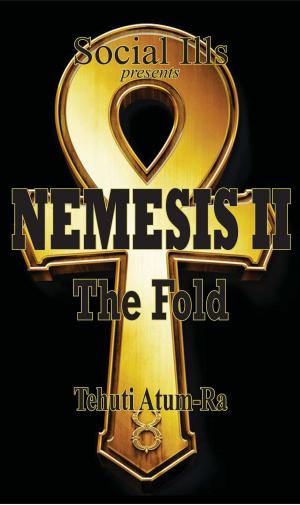Cover of the book Nemesis II The Fold by Nicholas Hunnicutt