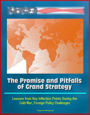 Cover of the book The Promise and Pitfalls of Grand Strategy: Lessons from Key Inflection Points During the Cold War, Foreign Policy Challenges by Progressive Management