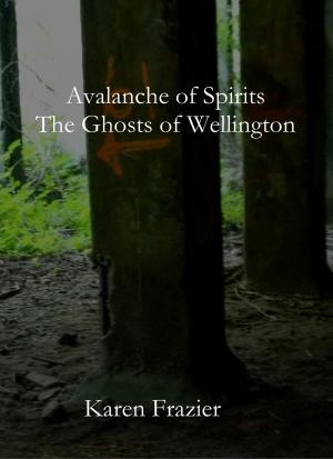 Book cover of Avalanche of Spirits: The Ghosts of Wellington