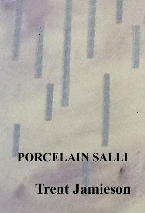 Book cover of Porcelain Salli