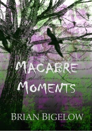 Cover of the book Macabre Moments by Nathan Shumate