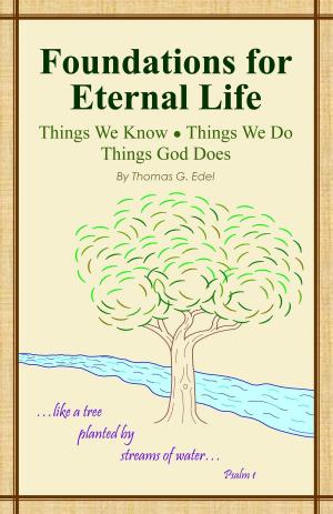Cover of the book Foundations for Eternal Life by Pieter Steyn