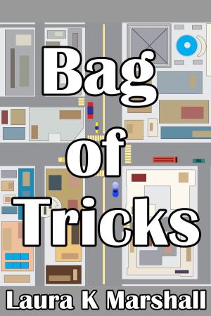 Cover of the book Bag of Tricks by Jeff Tikari