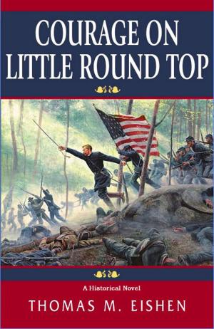 Cover of the book Courage on Little Round Top by Jo Goodman