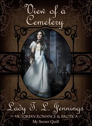 Book cover of View of a Cemetery ~ Victorian Romance and Erotica
