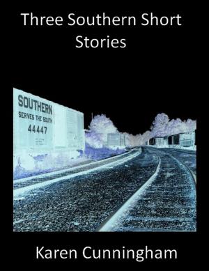 Cover of the book Three Southern Short Stories by Steven Mohr