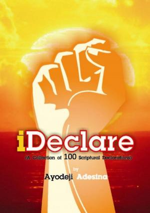 bigCover of the book iDeclare by 