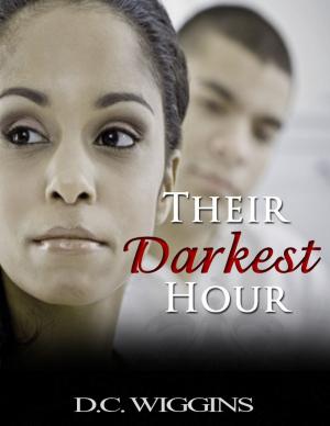 Cover of the book Their Darkest Hour by Tess O'Connor