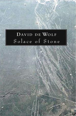 Cover of the book Solace of Stone by Georgia Pritchett