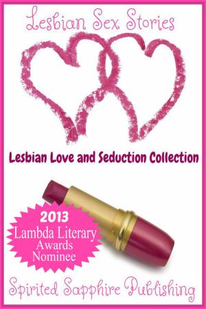 Book cover of Lesbian Sex Stories: Lesbian Love and Seduction Collection