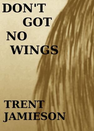 Book cover of Don't Got No Wings