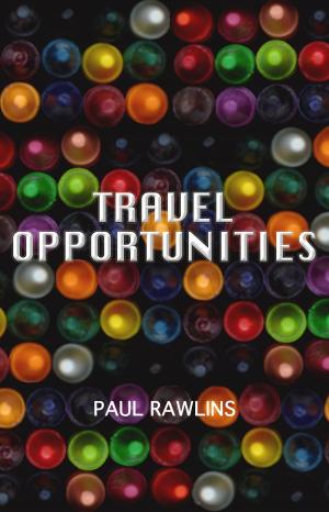 Book cover of Travel Opportunities