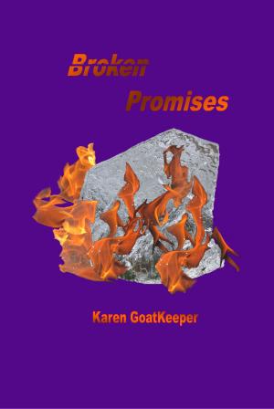 Book cover of Broken Promises