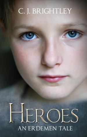Cover of the book Heroes by SaJoBa3