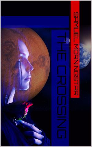 Cover of the book The Crossing by Alexander Patrick