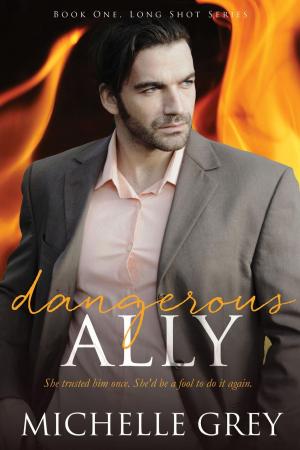 Cover of the book Dangerous Ally by Juliana Haygert