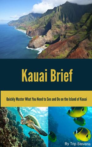 bigCover of the book Kauai Brief: Quickly Master What You Need to See and Do on the Island of Kauai by 