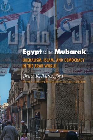 Cover of the book Egypt after Mubarak by Jan-Werner Müller