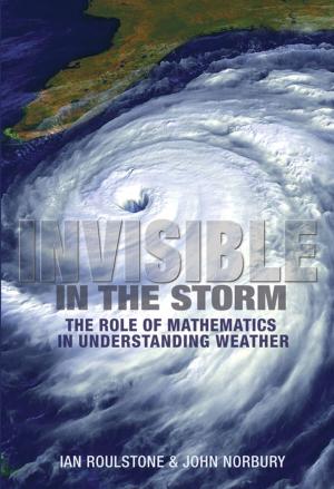 Cover of the book Invisible in the Storm by Toby Carlson, Paul Knight, Celia Wyckoff