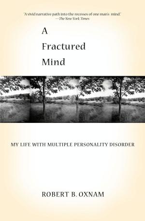 Cover of the book A Fractured Mind by Mark Ribowsky